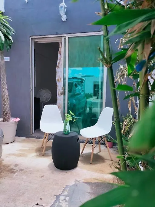 Apartment Estudio Bambu Merida Mexico